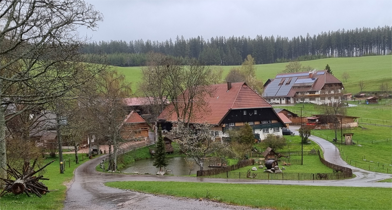 Haus im Schwarzwald, Jochen Sewald